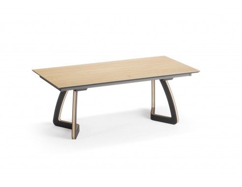 Table Concept 03